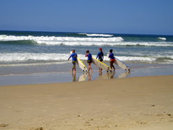 Surfers heading walking out into the ocean at Lennox